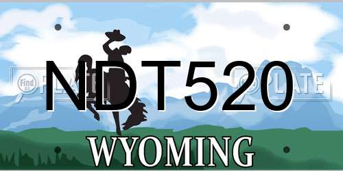 NDT520 Wyoming License Plate