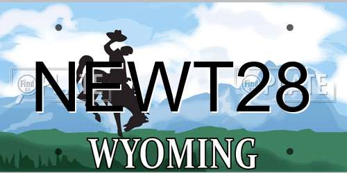 NEWT28 Wyoming License Plate