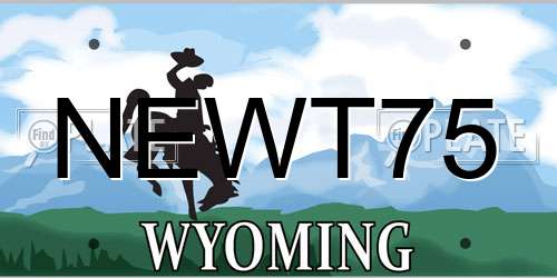 NEWT75 Wyoming License Plate