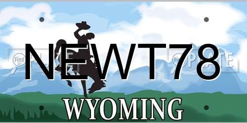 NEWT78 Wyoming License Plate