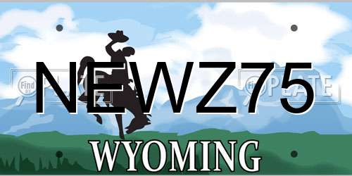 NEWZ75 Wyoming License Plate