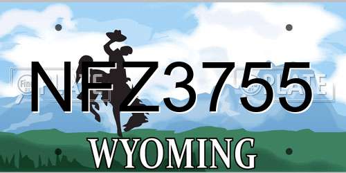 NFZ3755 Wyoming License Plate