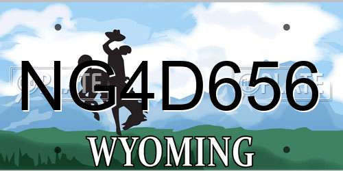 NG4D656 Wyoming License Plate
