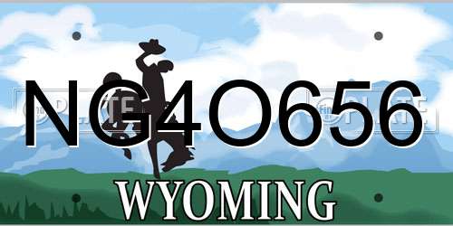 NG4O656 Wyoming License Plate