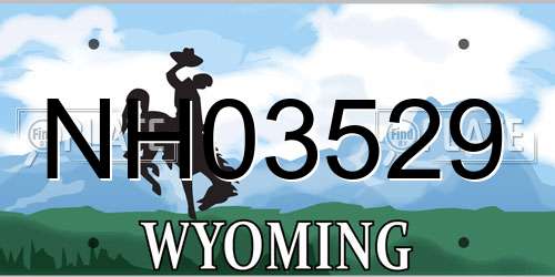 NH03529 Wyoming License Plate