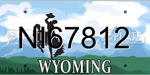 NI67812 Wyoming License Plate