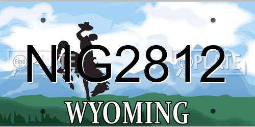NIG2812 Wyoming License Plate