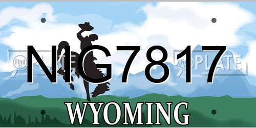 NIG7817 Wyoming License Plate