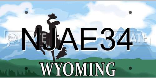 NJAE34 Wyoming License Plate