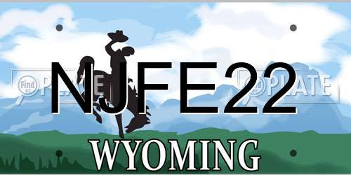 NJFE22 Wyoming License Plate
