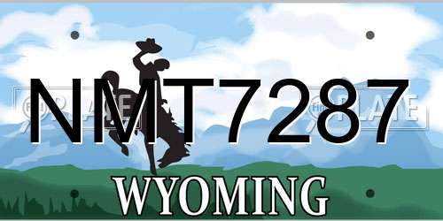 NMT7287 Wyoming License Plate
