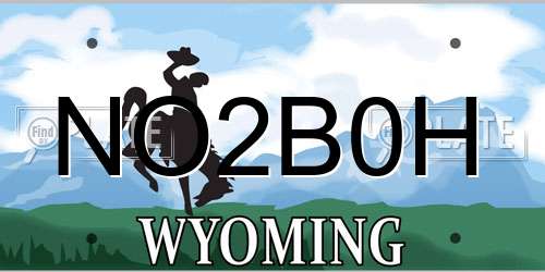 NO2B0H Wyoming License Plate