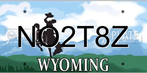NO2T8Z Wyoming License Plate