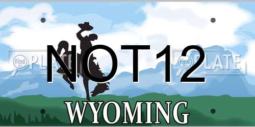 NOT12 Wyoming License Plate