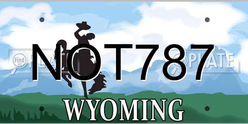 NOT787 Wyoming License Plate