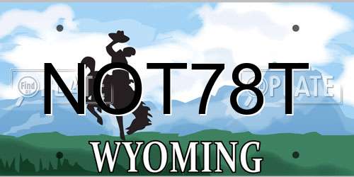 NOT78T Wyoming License Plate