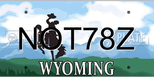 NOT78Z Wyoming License Plate