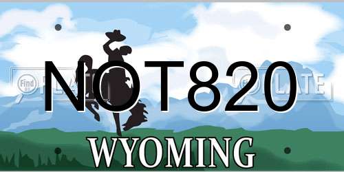 NOT820 Wyoming License Plate