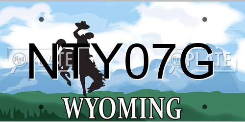NTY07G Wyoming License Plate