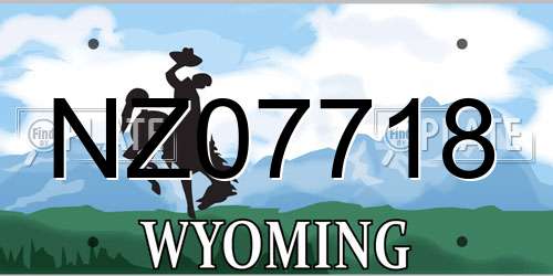 NZ07718 Wyoming License Plate