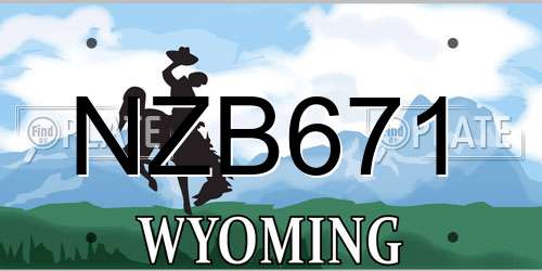 NZB671 Wyoming License Plate