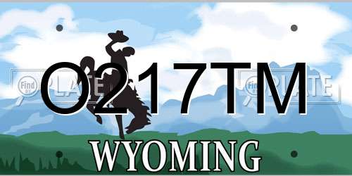 O217TM Wyoming License Plate