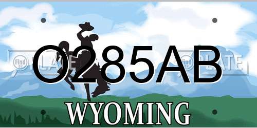 O285AB Wyoming License Plate
