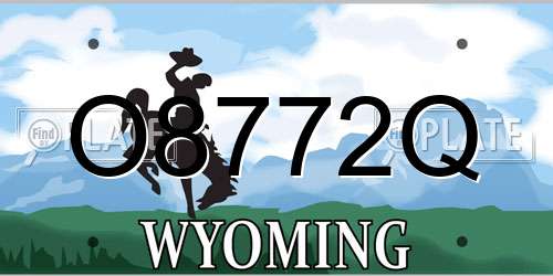 O8772Q Wyoming License Plate