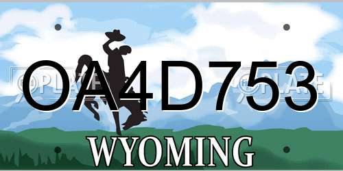 OA4D753 Wyoming License Plate