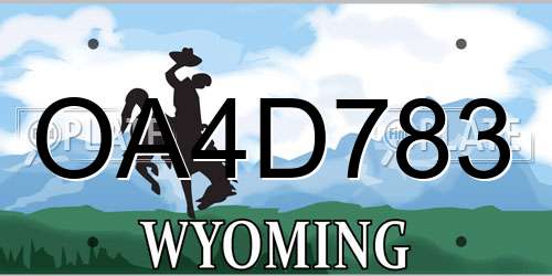 OA4D783 Wyoming License Plate