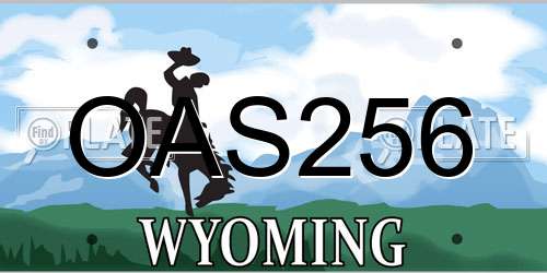 OAS256 Wyoming License Plate