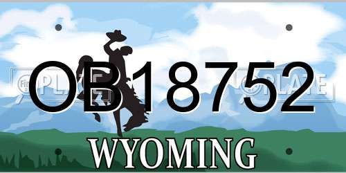OB18752 Wyoming License Plate