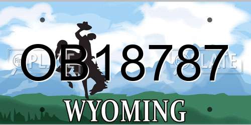 OB18787 Wyoming License Plate