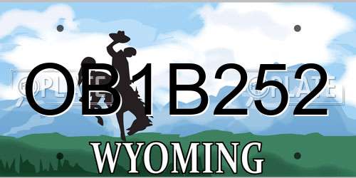 OB1B252 Wyoming License Plate