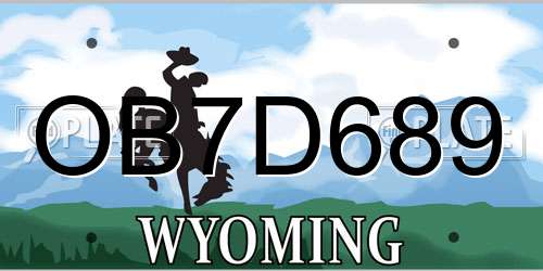 OB7D689 Wyoming License Plate