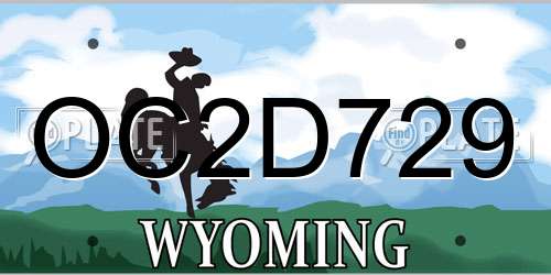 OC2D729 Wyoming License Plate
