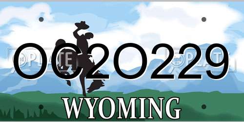 OC2O229 Wyoming License Plate