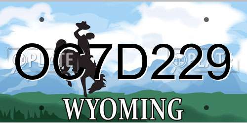 OC7D229 Wyoming License Plate