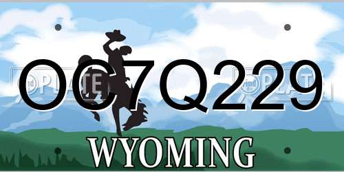 OC7Q229 Wyoming License Plate