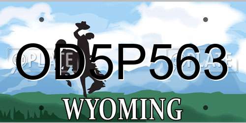 OD5P563 Wyoming License Plate