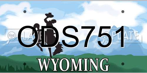 ODS751 Wyoming License Plate