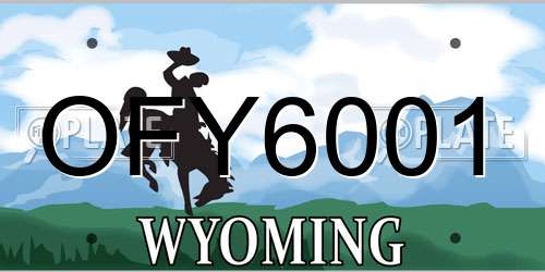 OFY6001 Wyoming License Plate