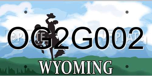 OG2G002 Wyoming License Plate