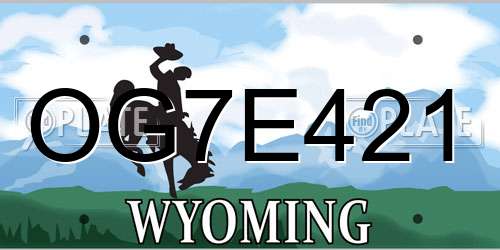OG7E421 Wyoming License Plate
