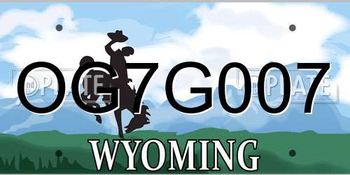 OG7G007 Wyoming License Plate