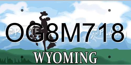 OG8M718 Wyoming License Plate