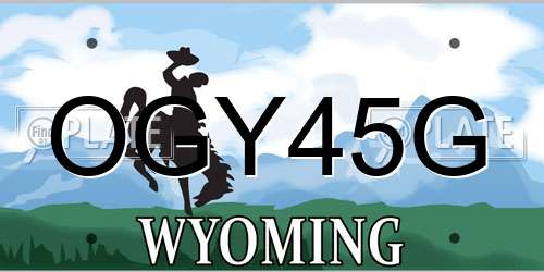 OGY45G Wyoming License Plate