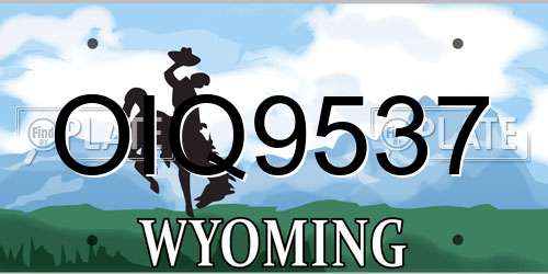 OIQ9537 Wyoming License Plate