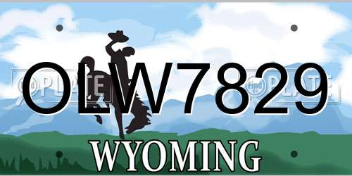 OLW7829 Wyoming License Plate