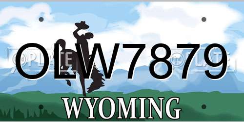 OLW7879 Wyoming License Plate